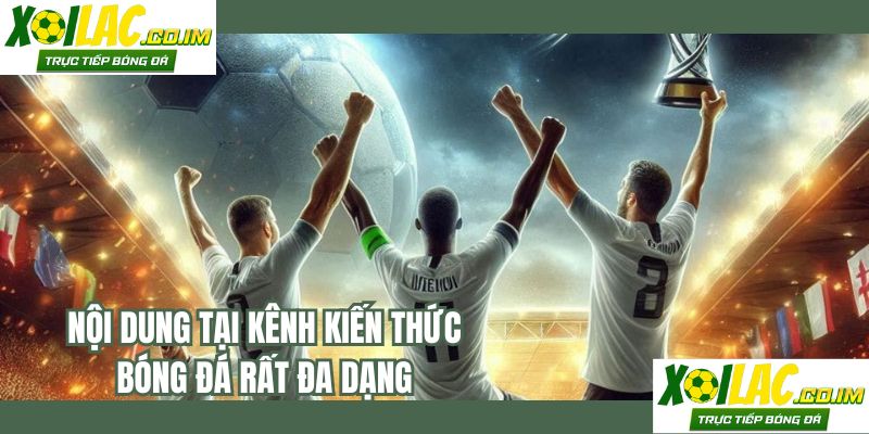 Nội dung tại kênh kiến thức bóng đá rất đa dạng